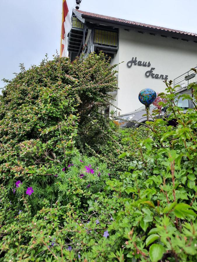 Haus Franz Hotel Милщат Екстериор снимка